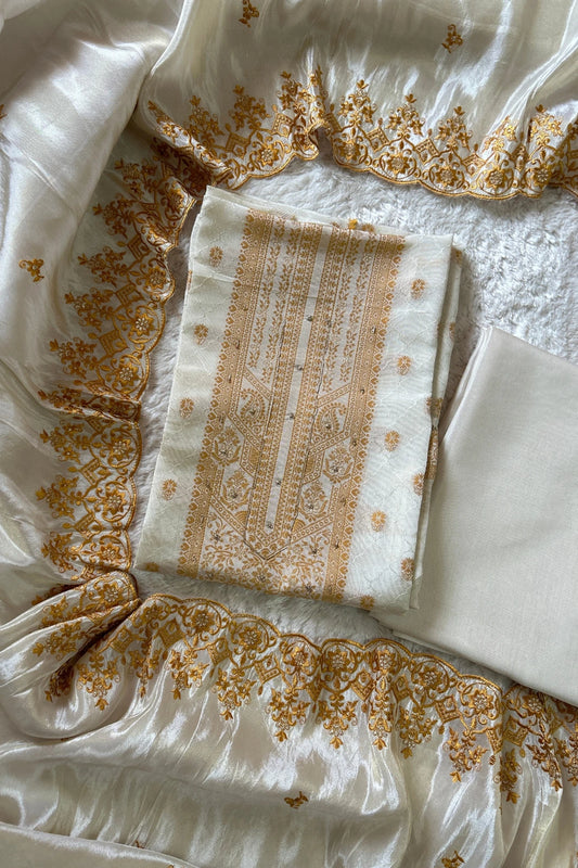 Tissue Salwar Suit-T200